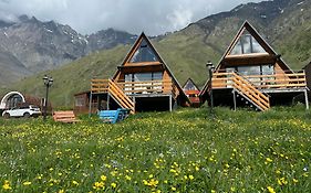 T&T Cottage