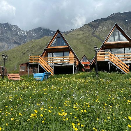 T&T Cottage Казбеги Экстерьер фото